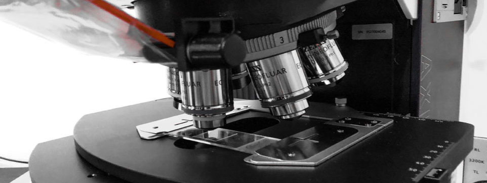header-microscope.3